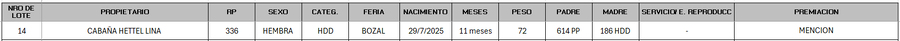 Lote LOTE 14 - BOZAL