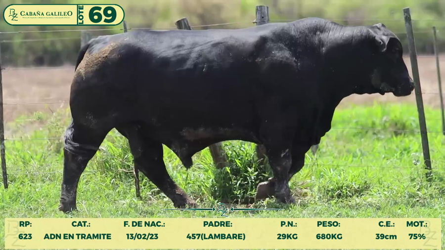 Lote LOTE 69
