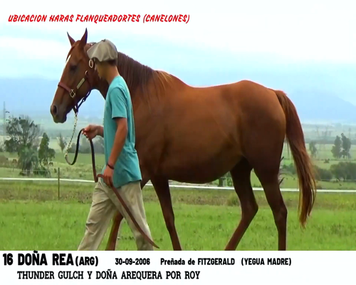 Lote DOÑA REA (ARG)
