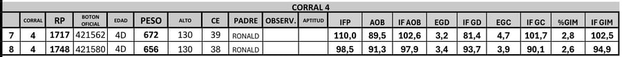 Lote 2 Toros PC