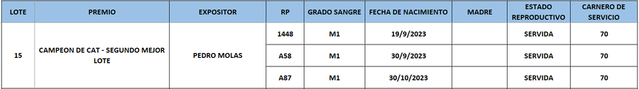 Lote LOTE 15
