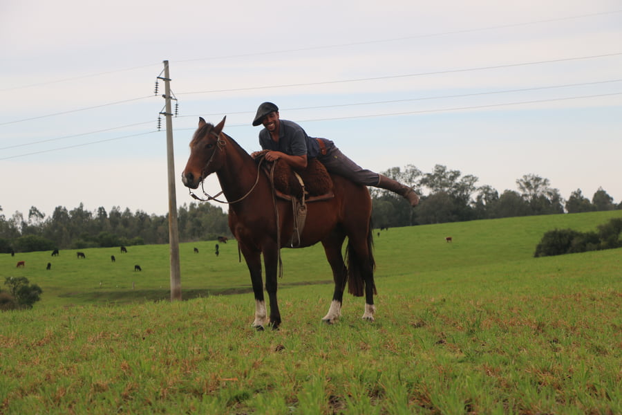 Lote SANTA GLORIA PICANTONA