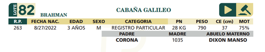Lote LOTE 82