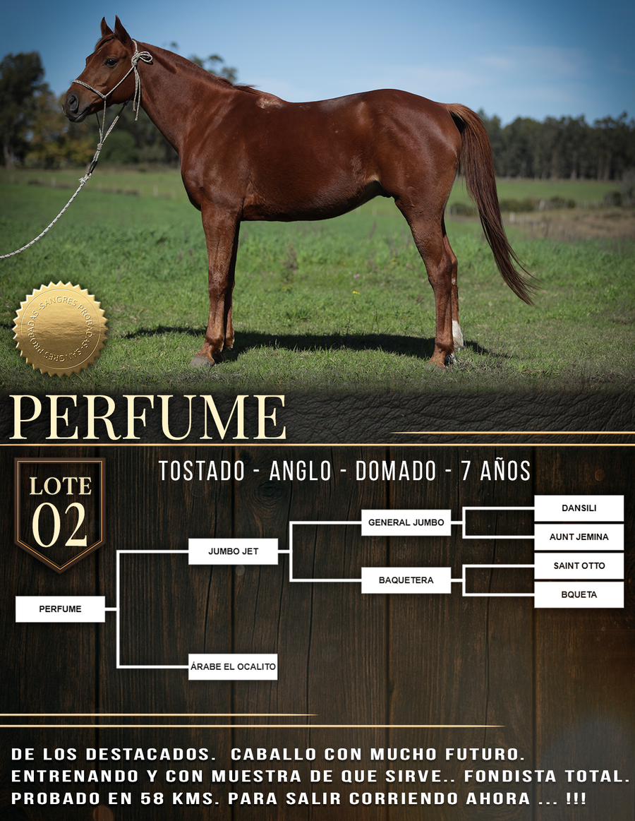 Lote PERFUME