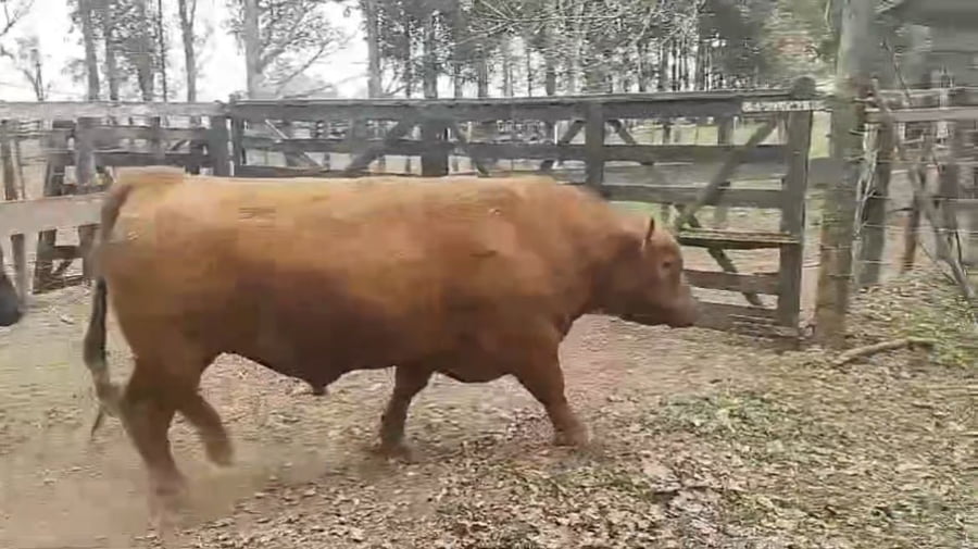 Lote CABAÑA SANTA ANA