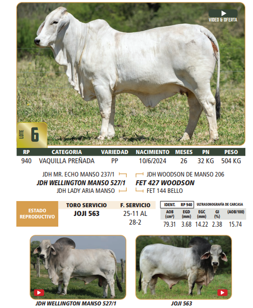 Lote LOTE 6