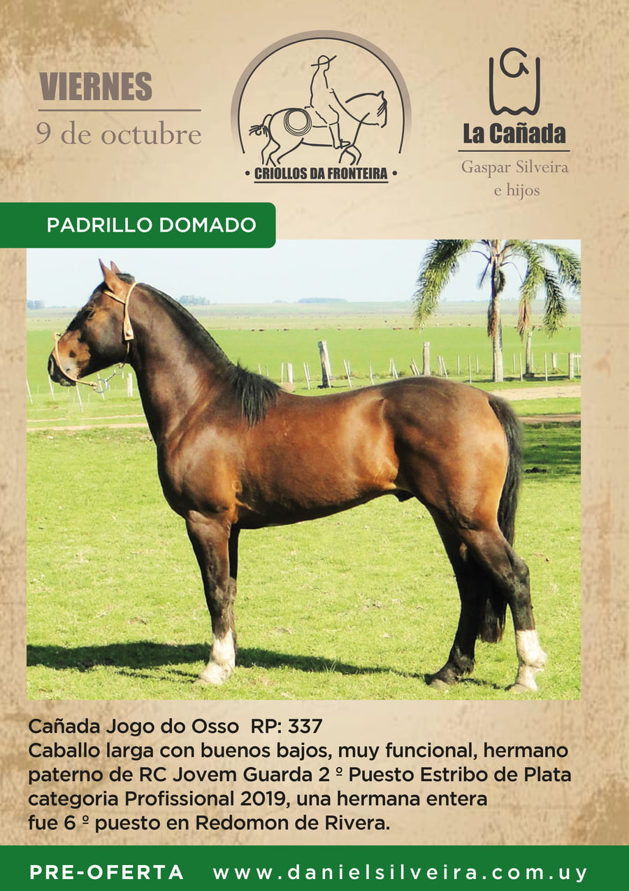 Lote Criollos da Fronteira Cañada Jogo do Osso   RP: 337