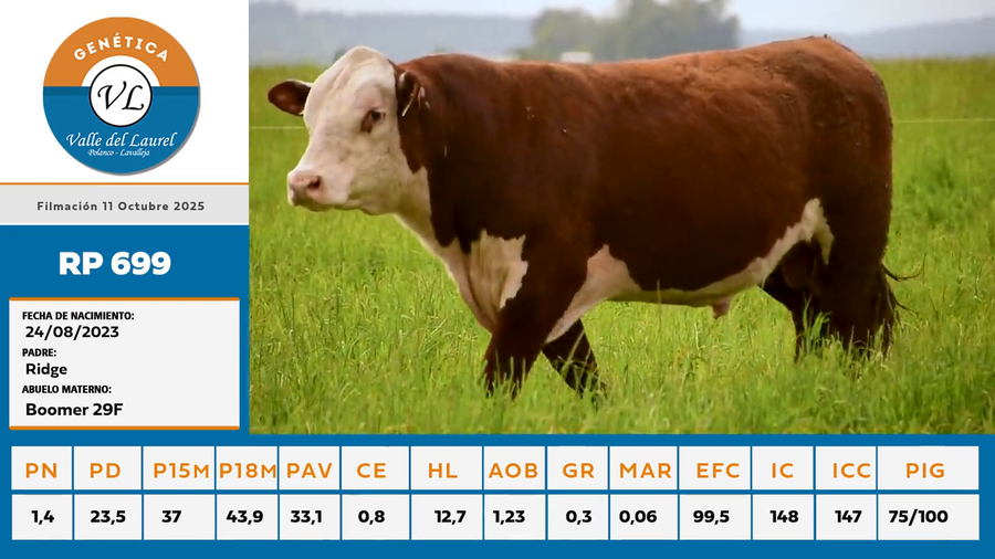 Lote 7 - Valle del Laurel