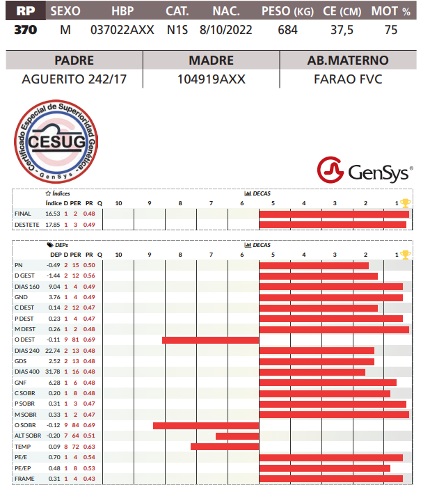 Lote LOTE 43