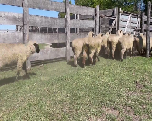 Lote 15 Corderas en Soriano, Dolores