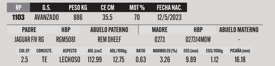 Lote LOTE 2