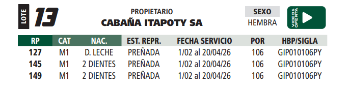 Lote LOTE 13
