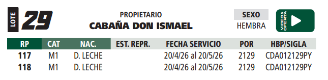 Lote LOTE 29