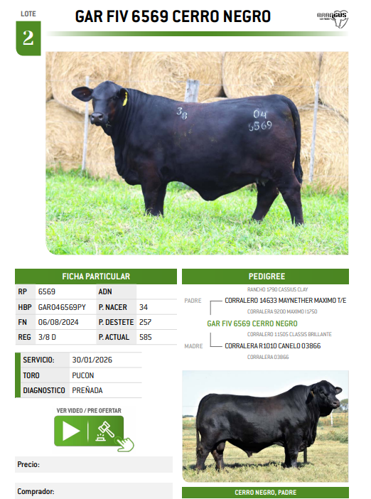 Lote LOTE 2