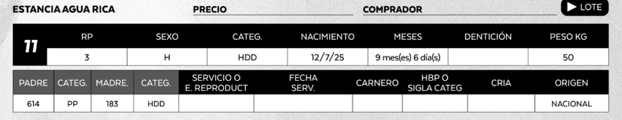 Lote LOTE 11