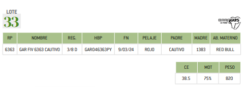 Lote LOTE 33
