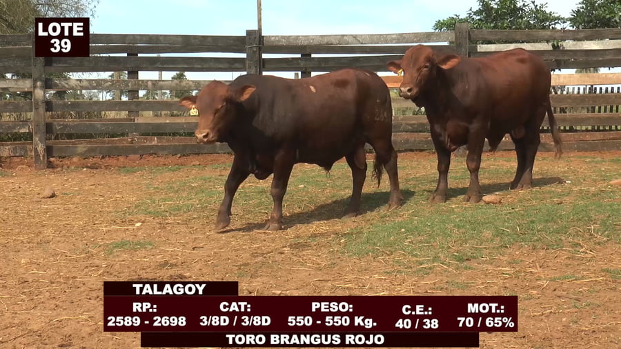 Lote Cabañas de Tradición - Lote 39