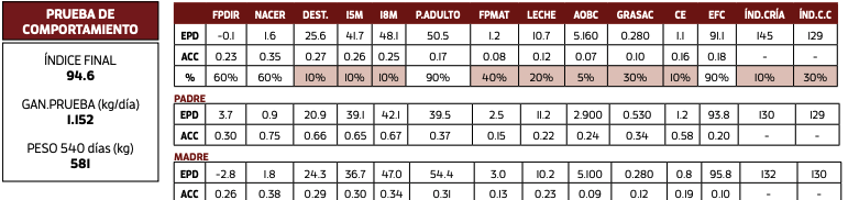 Lote GARZON ZER WONDER 867/1175