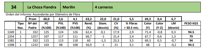 Lote 4 carneros