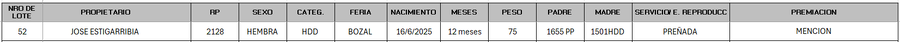 Lote LOTE 52 - BOZAL