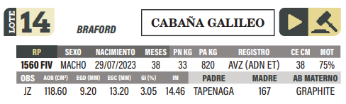 Lote LOTE 14