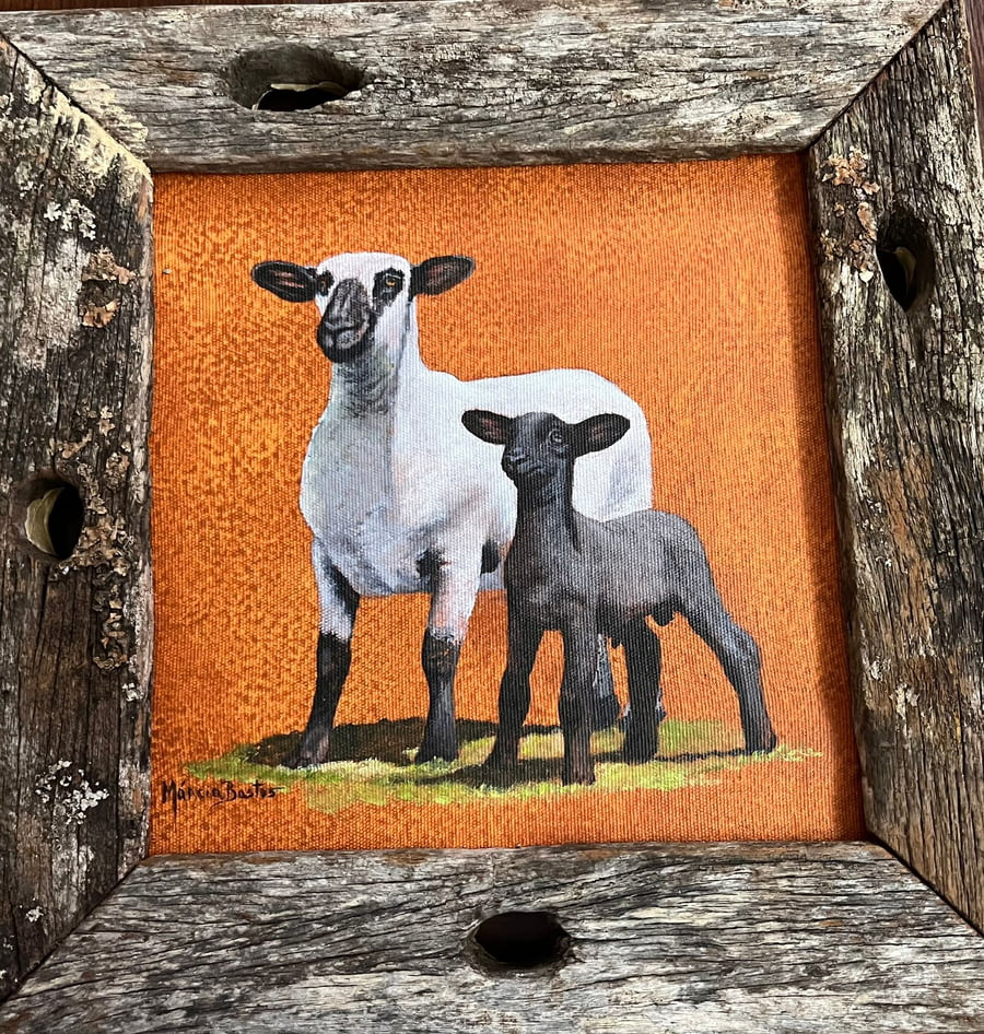 Lote LOTE 59 DONACION