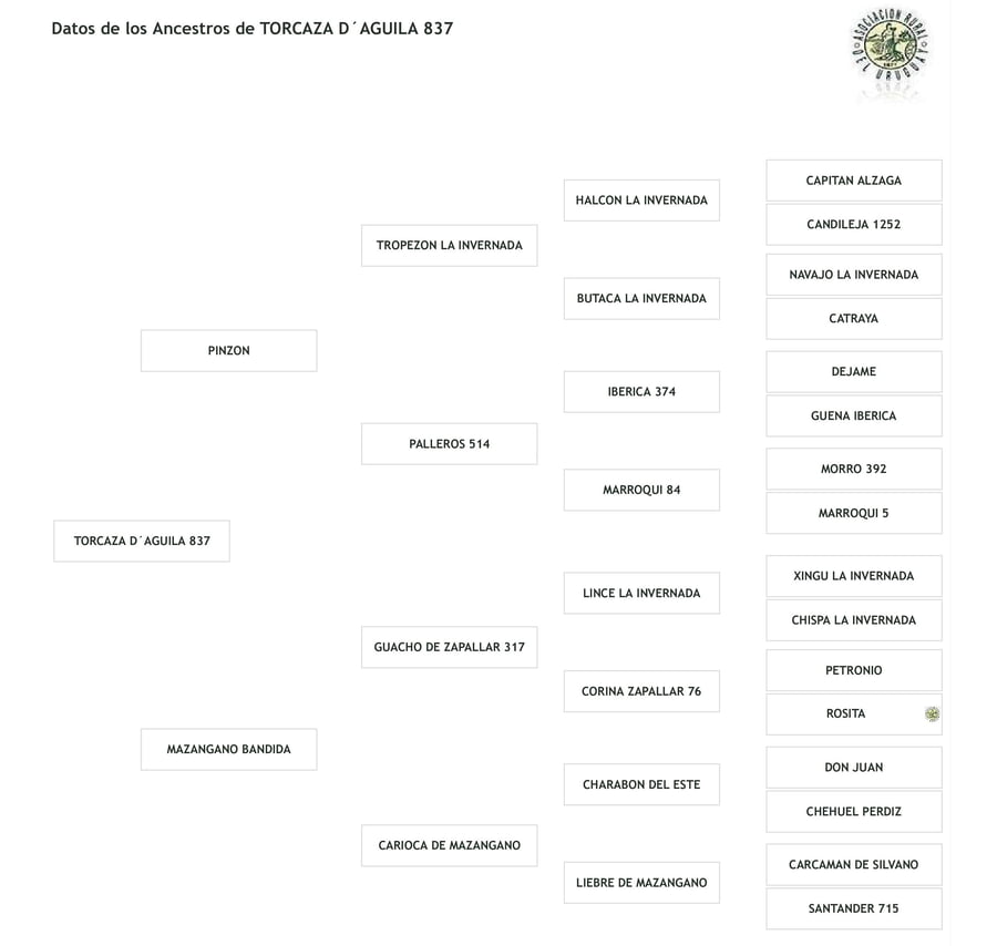 Lote Cabaña "El Aguila" - RP 837 - Torcaza D'aguila