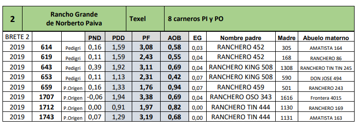 Lote 8 carneros PI y PO