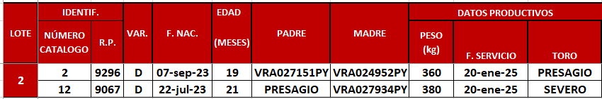 Lote LOTE 2