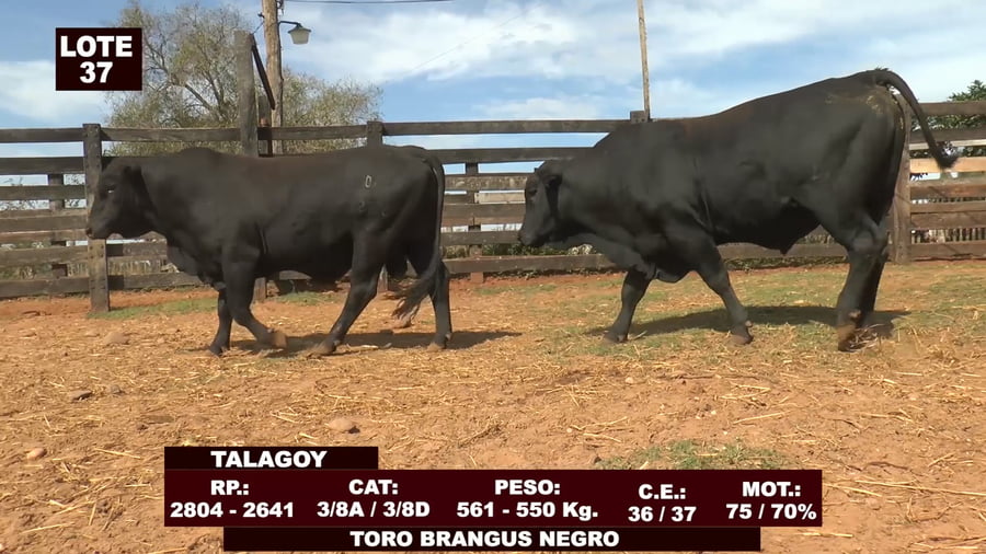 Lote Cabañas de Tradición - Lote 37