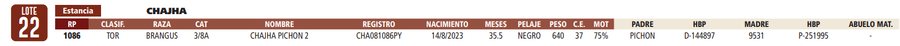 Lote LOTE 22