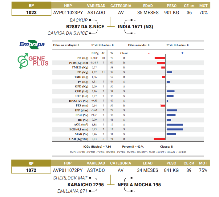 Lote LOTE 35