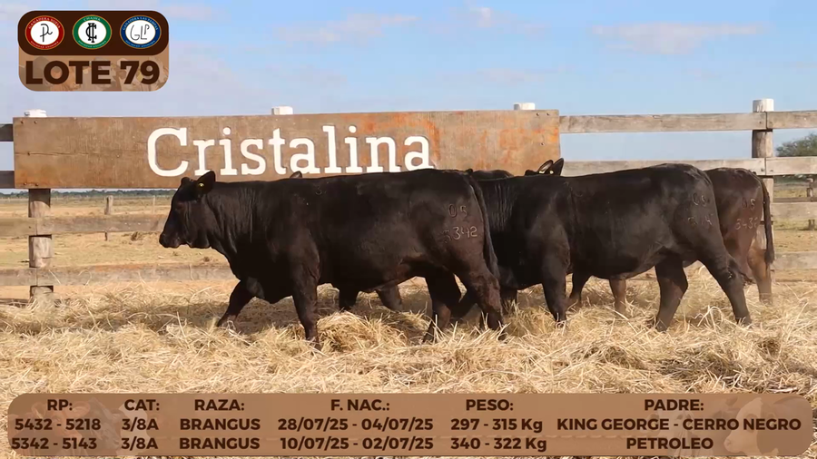 Lote LOTE 79