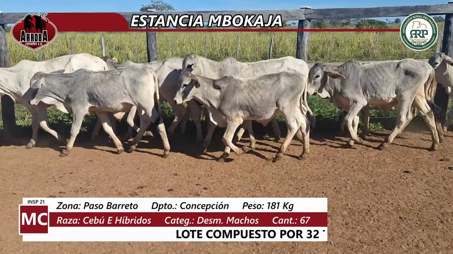 Lote ESTANCIA MBOKAJA