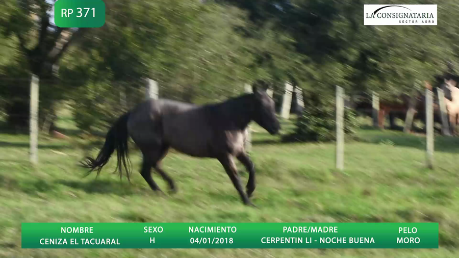 Lote CENISA EL TACUARAL