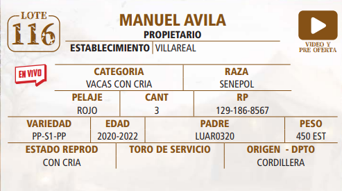Lote LOTE 116 -EN VIVO