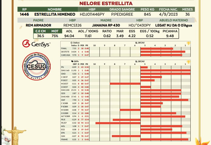 Lote LOTE 4
