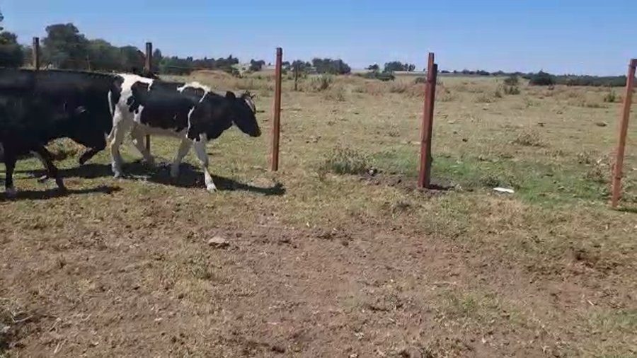 Lote 4 Vaq S/Servicio en San José