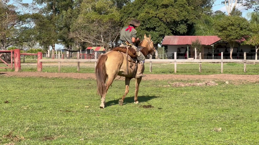 Lote 1 Montados en Corrientes, Curuzú-Cuatiá