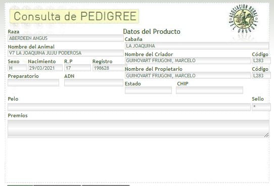 Lote (Vendido)2 VAQUILLONAS 1 A 2 AÑOS PI AA a remate en PANTALLA GARLAND 340kg -  en COLONIA BELGRANO