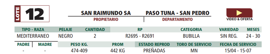 Lote LOTE 12
