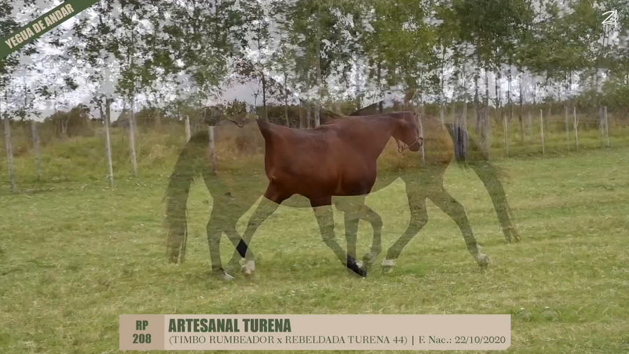 Lote ARTESANAL TURENA