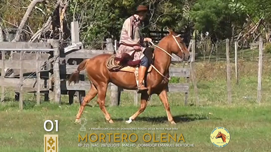 Lote Mortero Olena