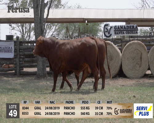 Lote Ganadera Santa Cecilia - Lote 49