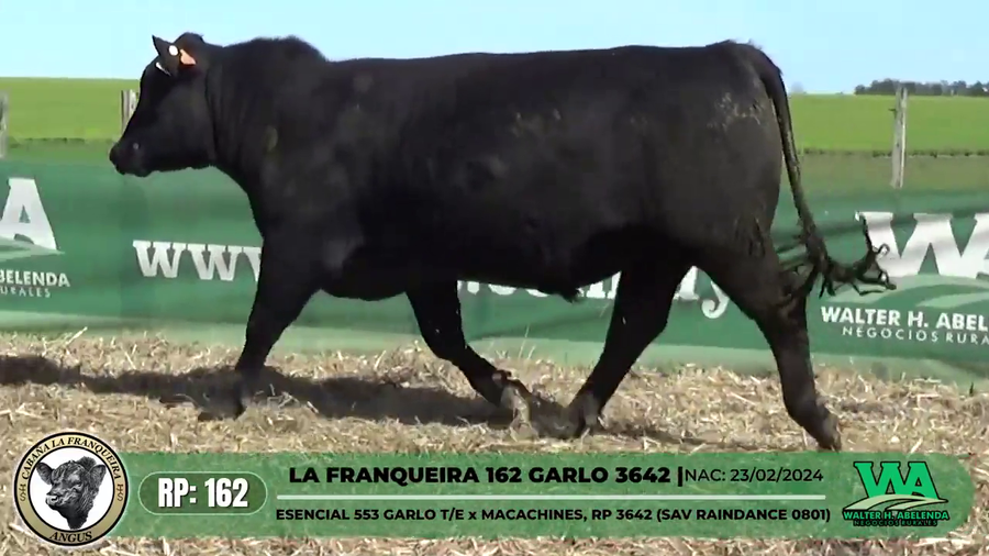 Lote LA FRANQUEIRA 162 GARLO 3642