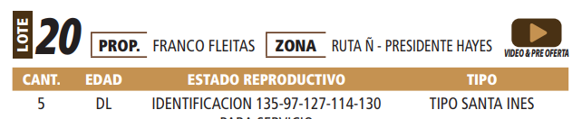 Lote LOTE 20 -POR PANTALLA