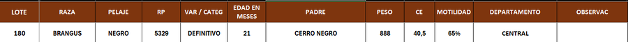 Lote LOTE 180