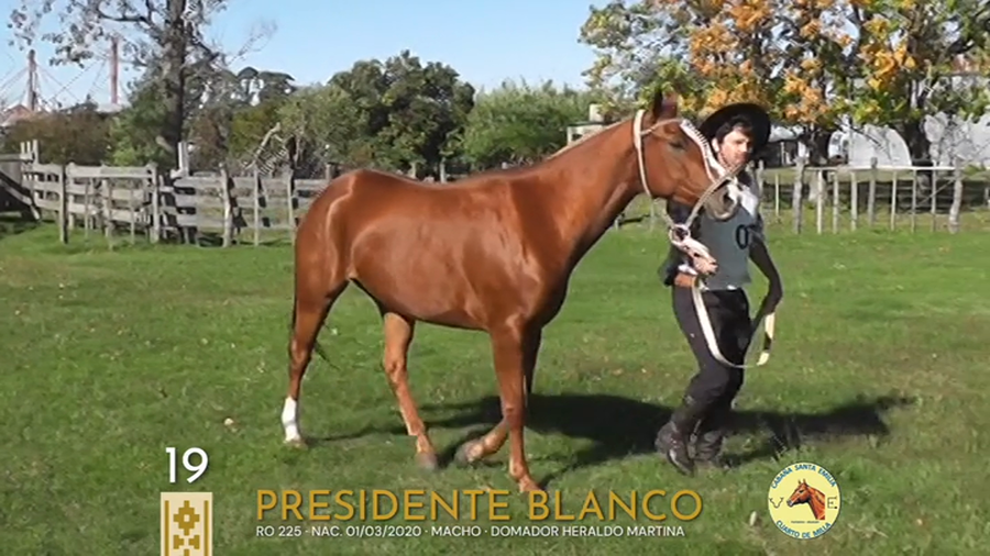 Lote Presidente Blanco