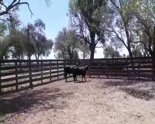 Lote CABAÑA "BAPIO"