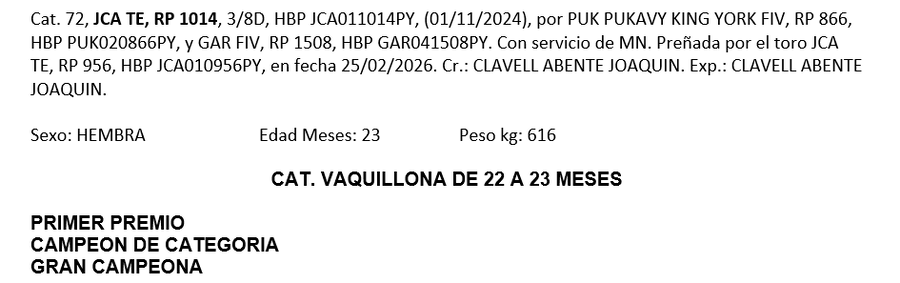 Lote LOTE 40 - DE BOZAL